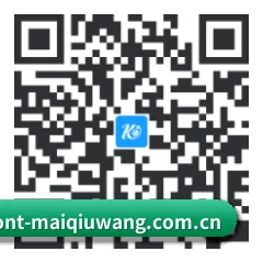 苹果版 iOS 二维码